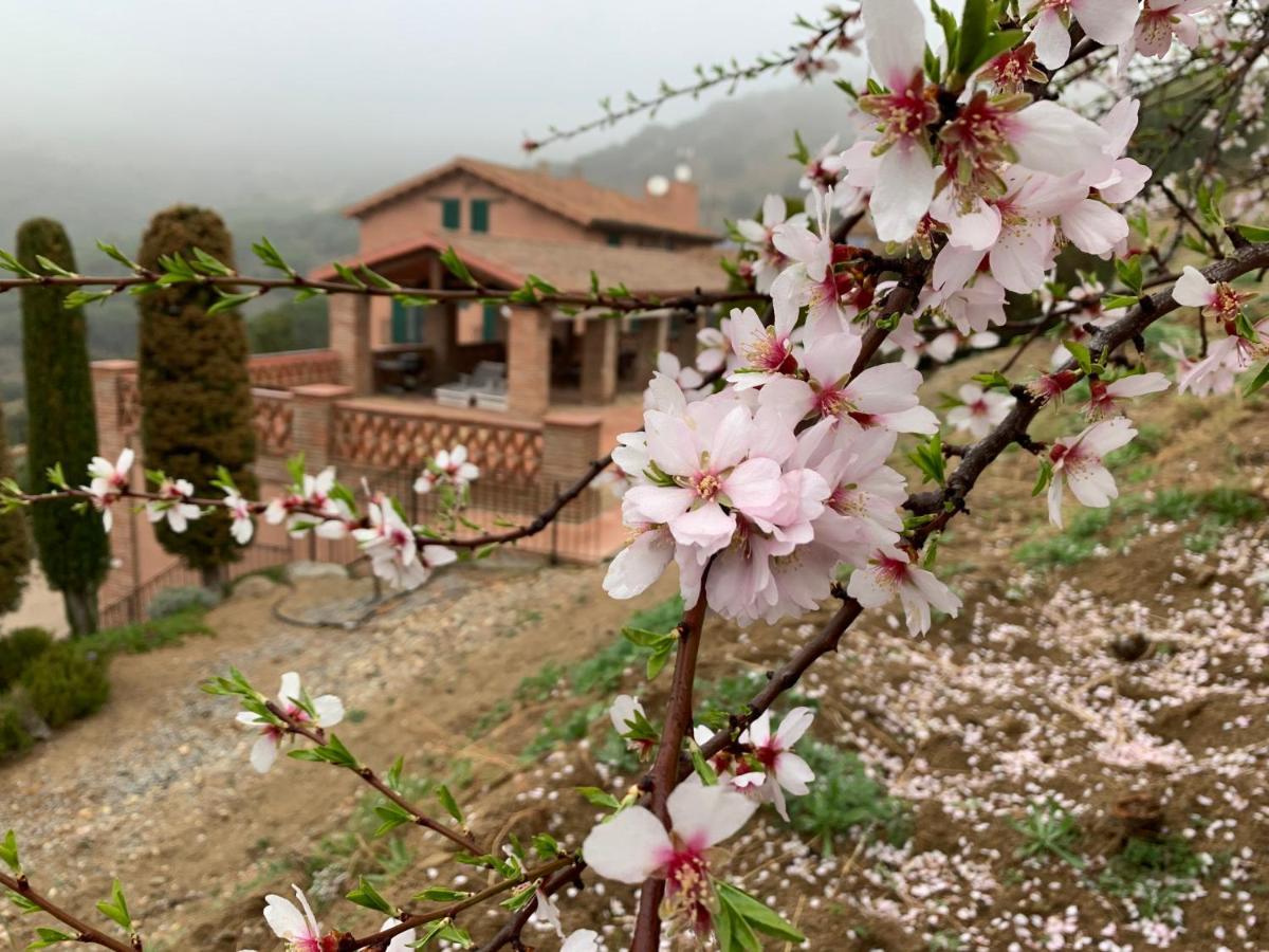Can Ballus Bed&Breakfast Tiana エクステリア 写真