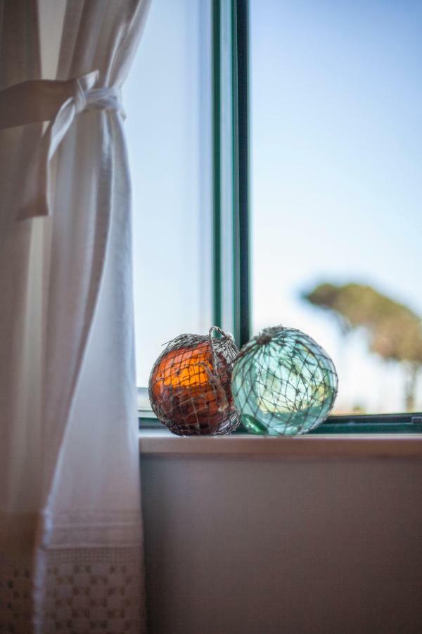Can Ballus Bed&Breakfast Tiana エクステリア 写真